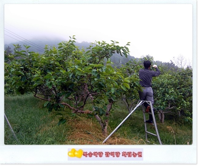 화림농원 이미지