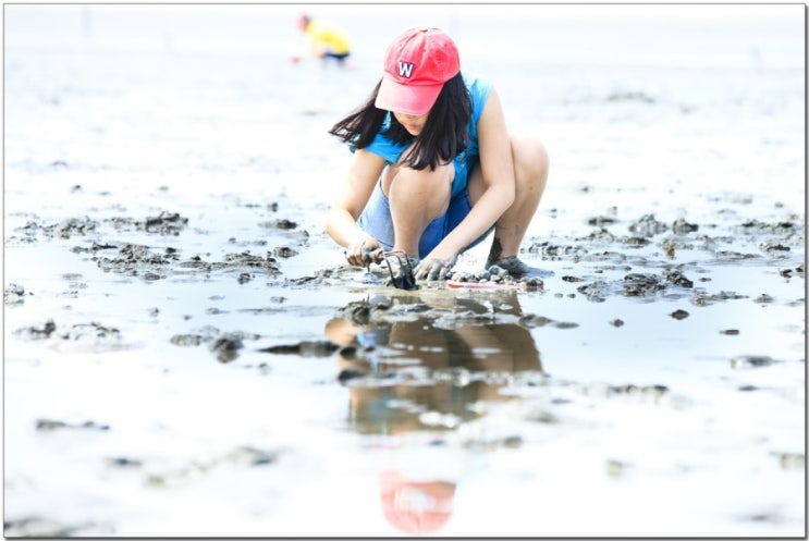 만돌갯벌체험학습장 이미지