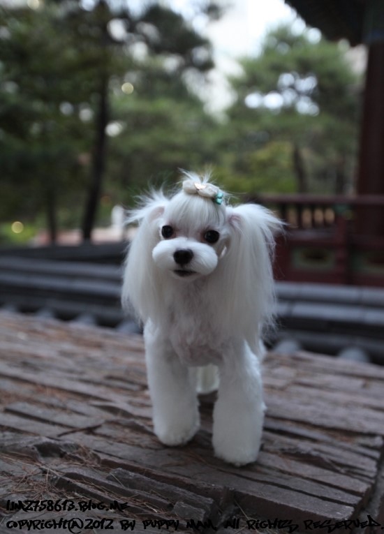 몽퍼피 이미지