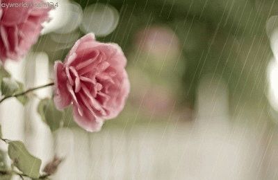문*숙 이미지