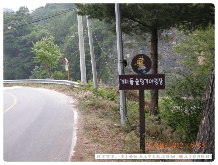 개미들솔향기야영장 이미지