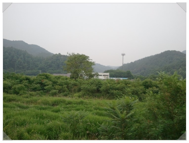 칠갑산하 이미지