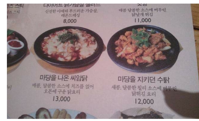 마당나온수탉 이미지
