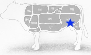 쇼애고기 이미지