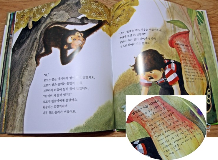 마법의정원 이미지