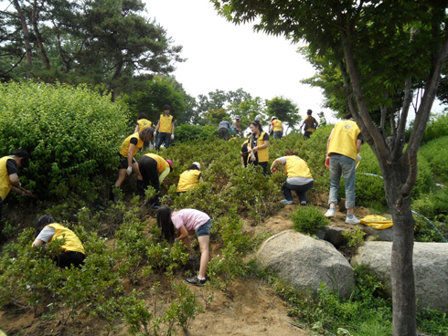 (주)신세계 이마트 이미지