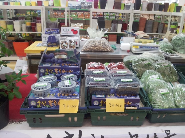 장수농수산물 이미지