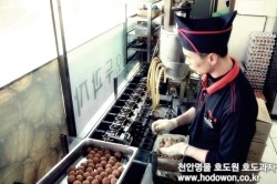 호도원호두과자 이미지