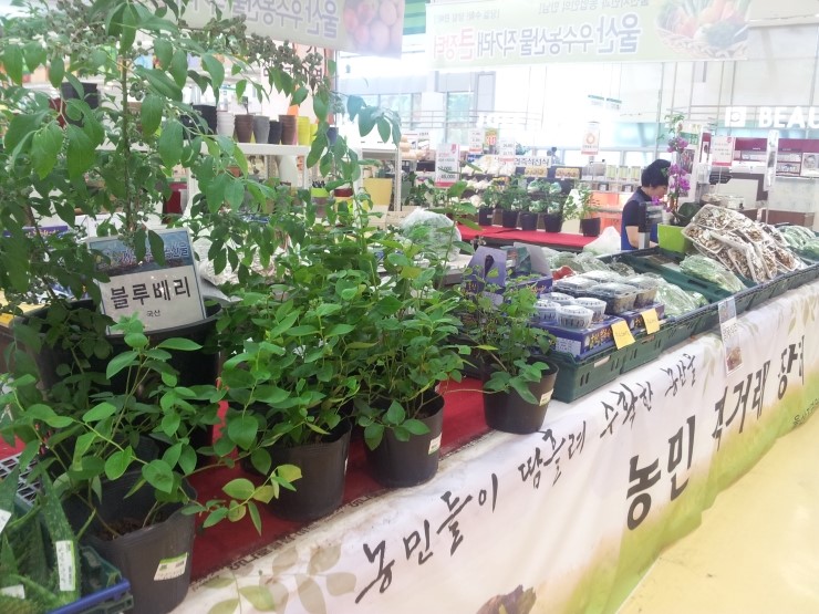 장수농수산물 이미지