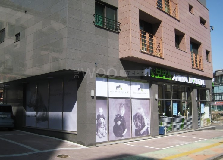 더우디자인 이미지