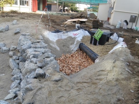 신화초등학교 이미지