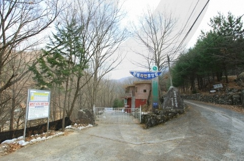 원동자연휴양림 이미지