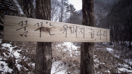 꿈꾸는유배지늡다리 이미지