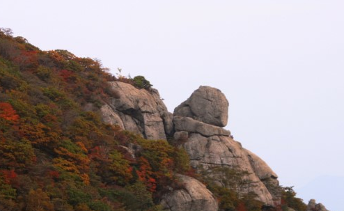 천왕봉농원 이미지
