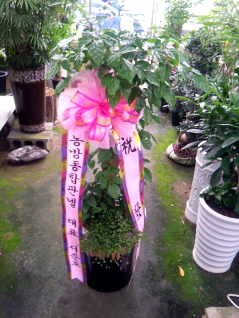 불국사미장원 이미지