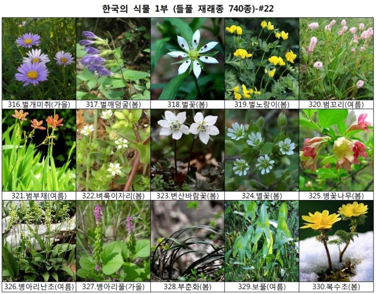 야생화 들풀 이름 찾기 (들풀 재래종 740종) : 네이버 블로그