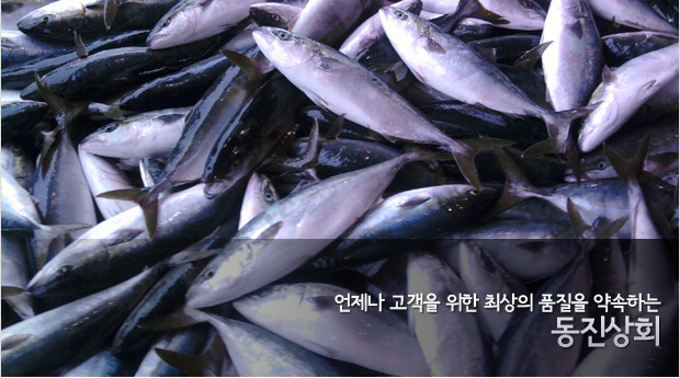 동진상회 이미지