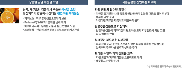 아톰미 이미지