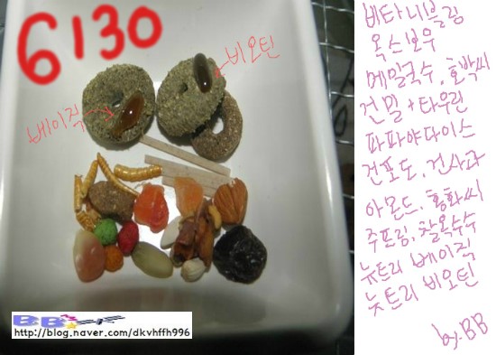 이니블링 이미지