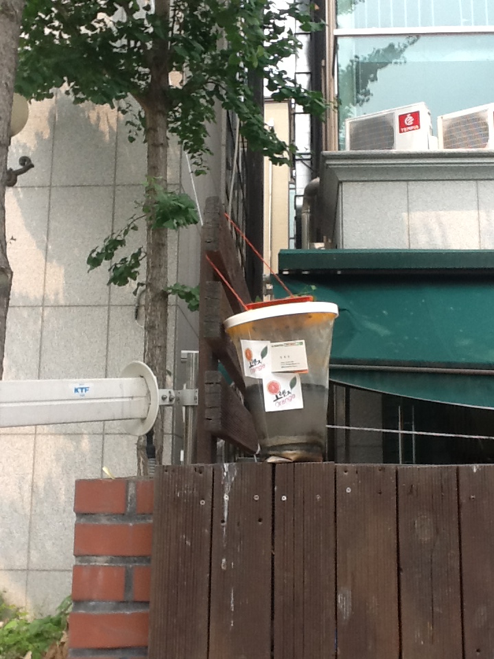 오렌지식당 이미지