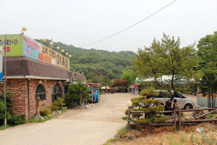 오케이식당 이미지