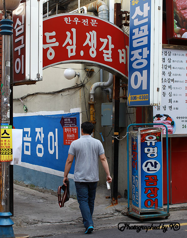 백악관관광나이트 이미지