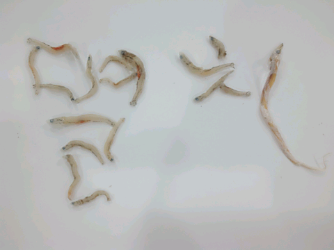 대봉건해산물 이미지