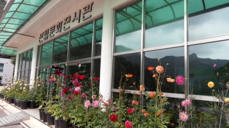 수목 비교 관찰원 이미지
