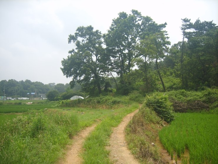 김채웅미술학원 이미지