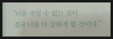위지안 이미지