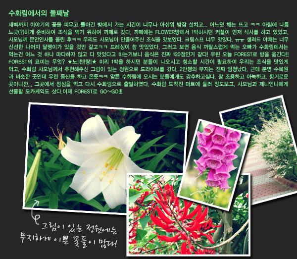수화림 이미지