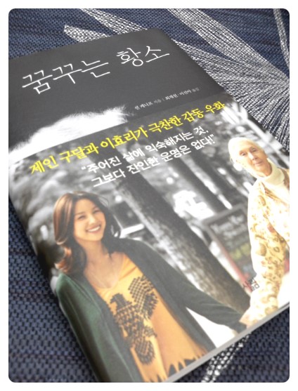 꿈꾸는황소 이미지