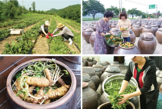 강산농원 이미지