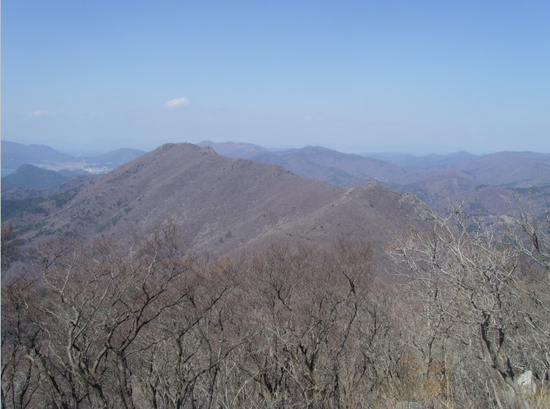 가리산막국수 이미지