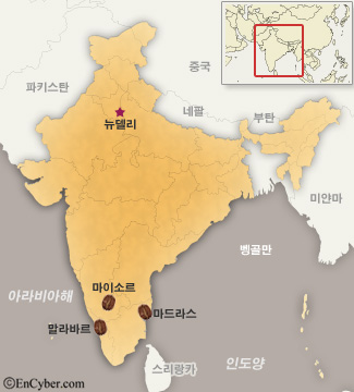 인디아커피 이미지