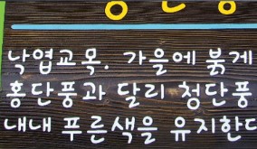 진흥원색 이미지