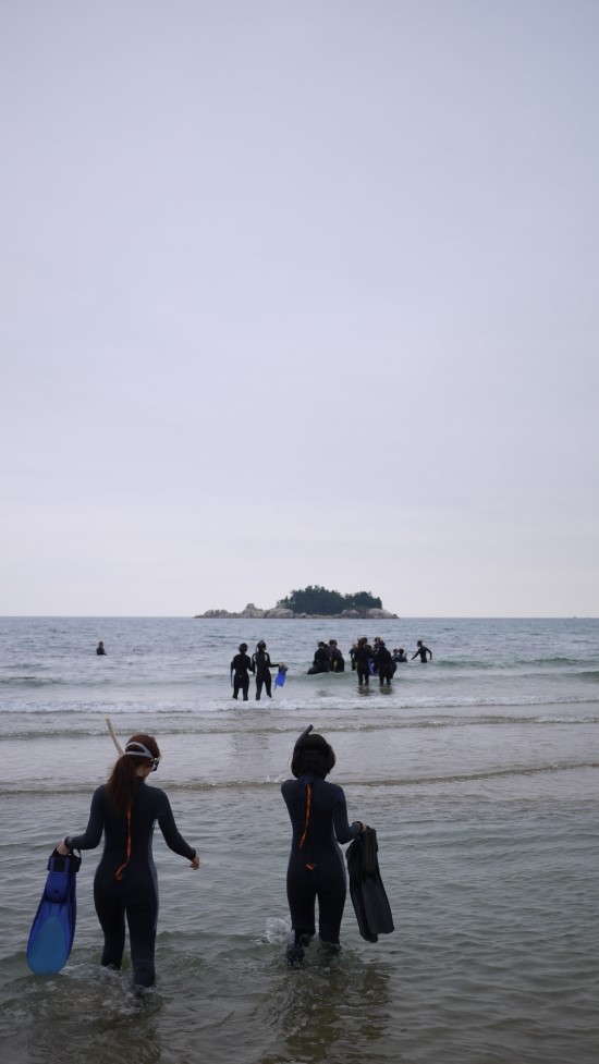 바다스쿠바 이미지