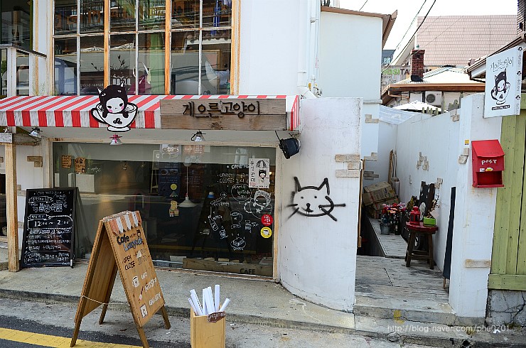 노랑컵까망 이미지