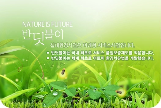 반디시스템 이미지