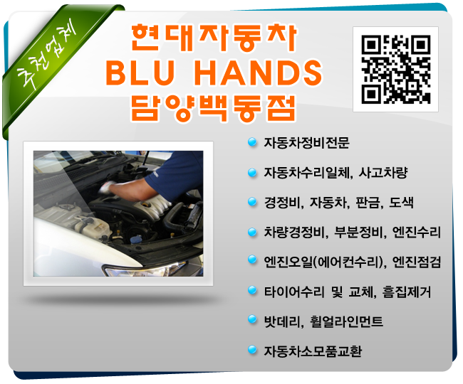 담양백동점현대자동차 이미지