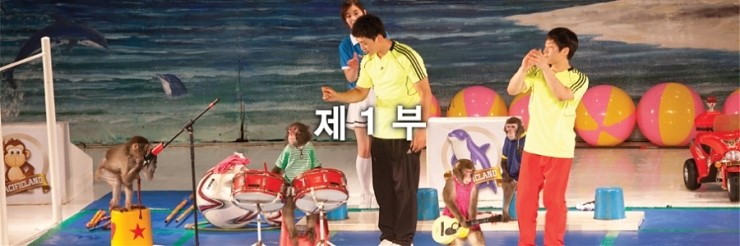 제주커피식물원 이미지