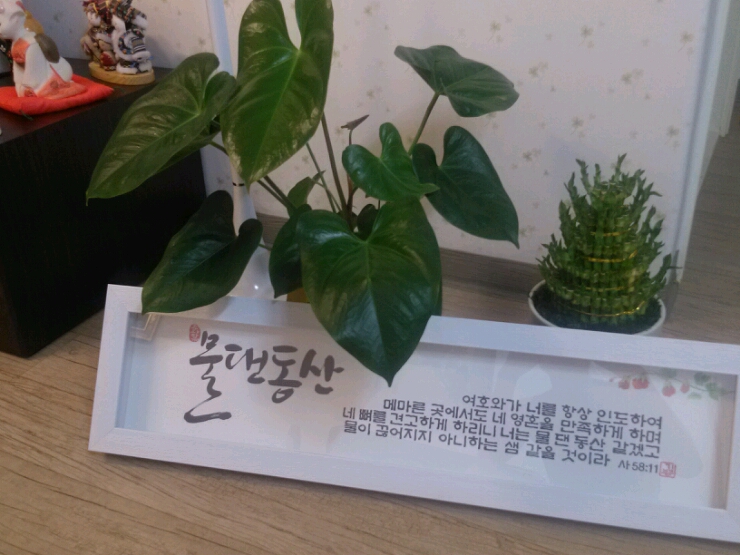 물댄동산 이미지