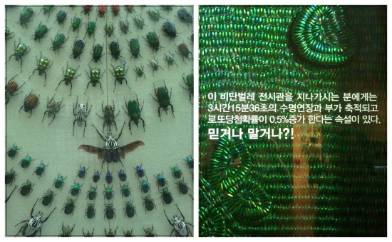 비단복권 이미지