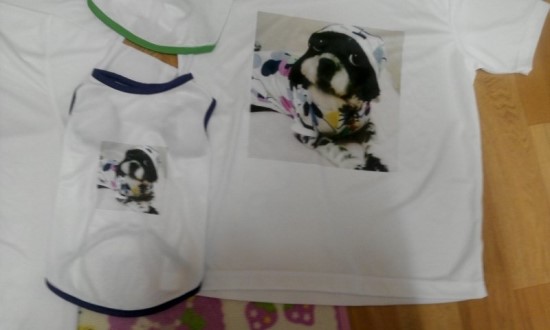 행복펜션 이미지
