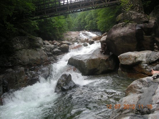 지리산양봉원 이미지