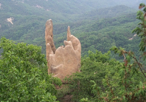 송아회 이미지
