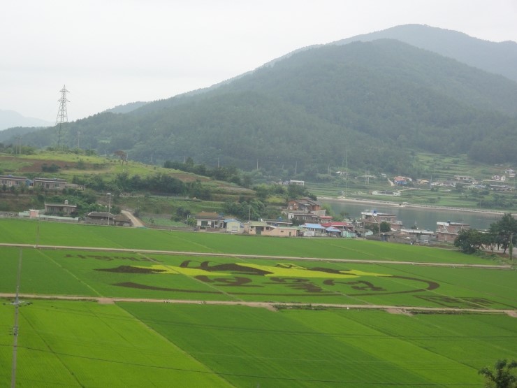 남해보물섬민박 이미지