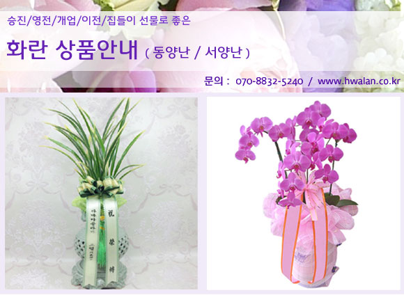 장안화원 이미지