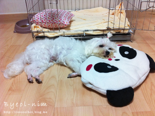 달샘 이미지