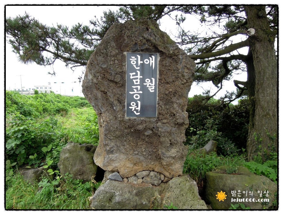 바다솔산업 이미지
